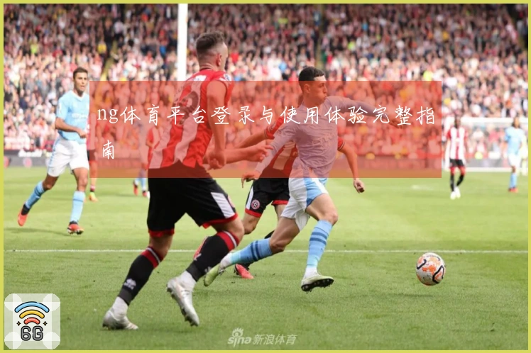 ng体育平台登录与使用体验完整指南