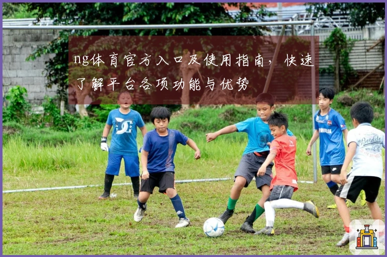 ng体育官方入口及使用指南，快速了解平台各项功能与优势