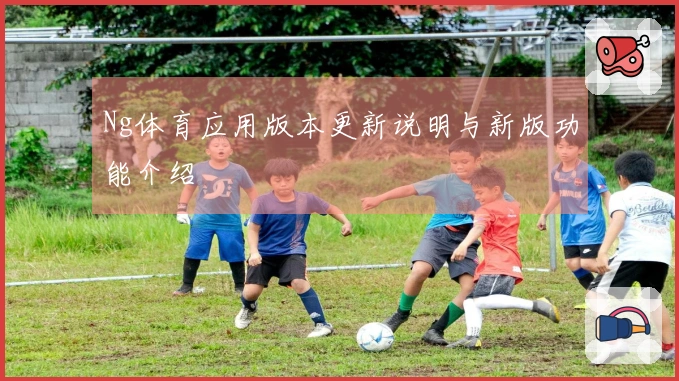 Ng体育应用版本更新说明与新版功能介绍