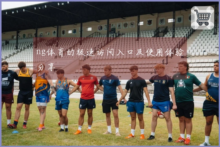ng体育的极速访问入口及使用体验分享