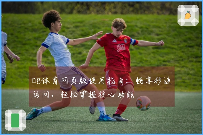 ng体育网页版使用指南：畅享秒速访问，轻松掌握核心功能