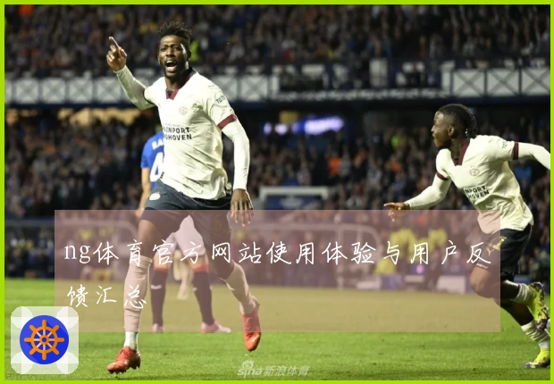 ng体育官方网站使用体验与用户反馈汇总